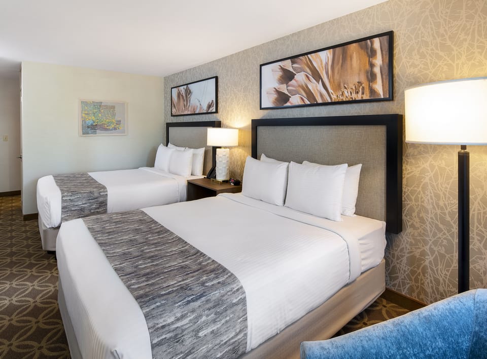 Premium bedding, desk, iron/ironing board, WiFi (free)