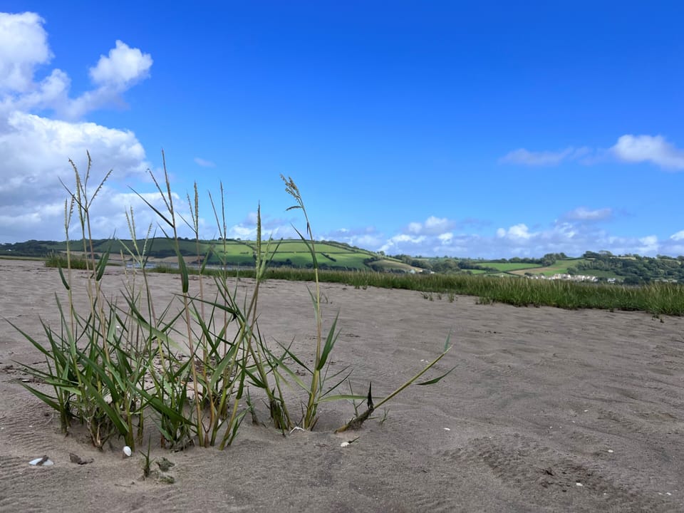 Yr Hen Beudy, Barn Conversion, Sleeps 4, Dogs Ok House in Llansteffan