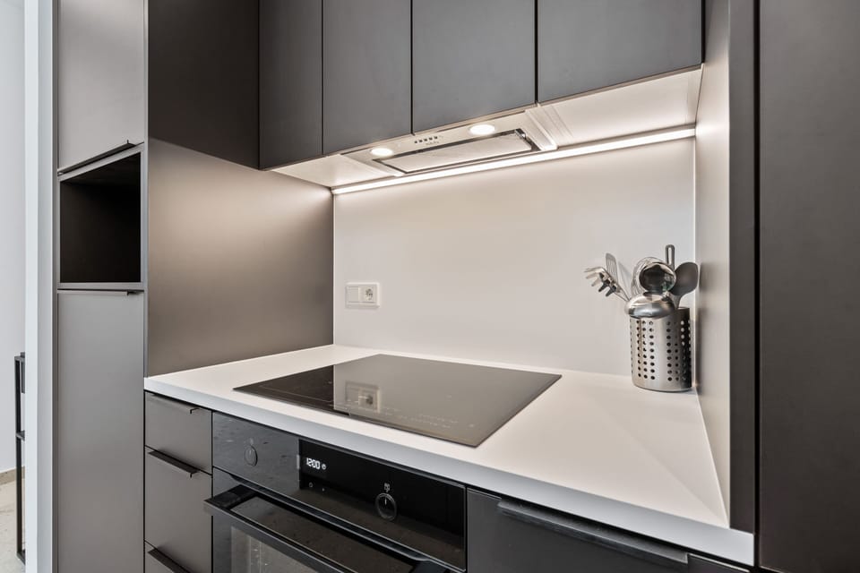 Apartment | Private kitchen | Fridge, oven, stovetop, dishwasher