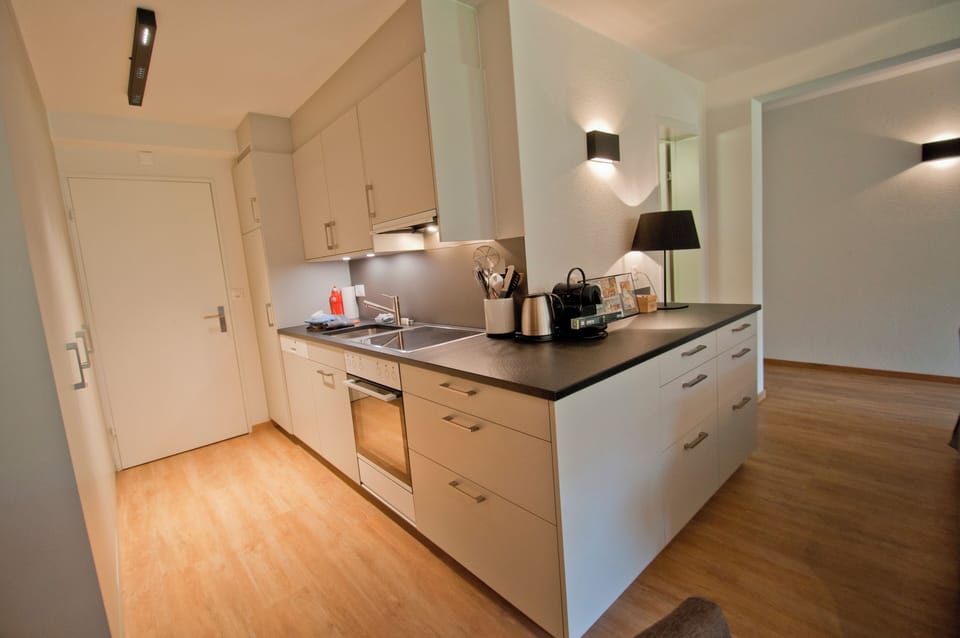 Comfort Apartment | Private kitchen | Full-size fridge, oven, stovetop, dishwasher