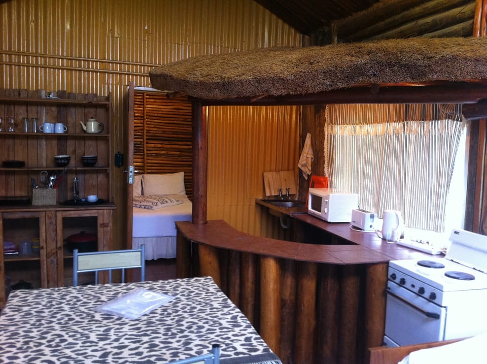 Economy Cabin | Living area | 32-inch LCD TV with digital channels