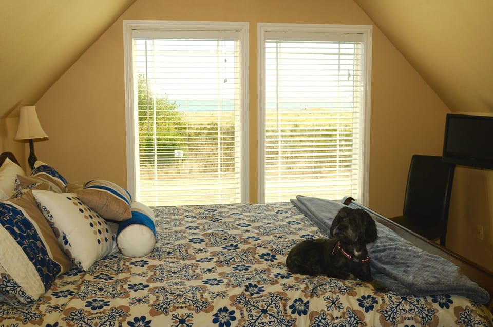 Premium bedding, iron/ironing board, free WiFi, bed sheets