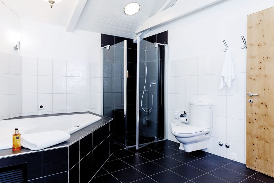 Suite | Bathroom | Hair dryer, towels, soap, shampoo
