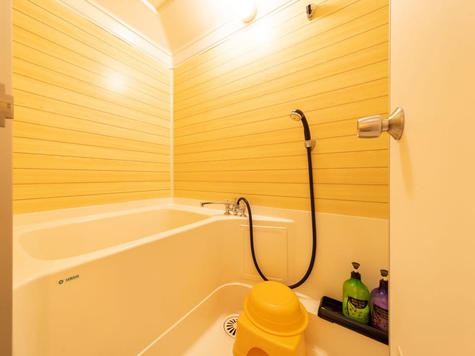 Free toiletries, hair dryer, slippers, bidet