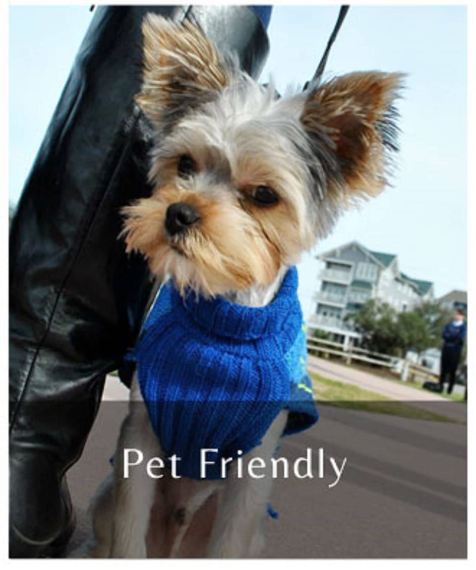 Pet-friendly