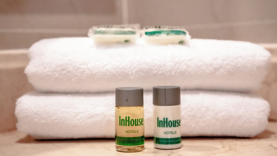 Deluxe Double Room | Bathroom | Shower, free toiletries, hair dryer, towels