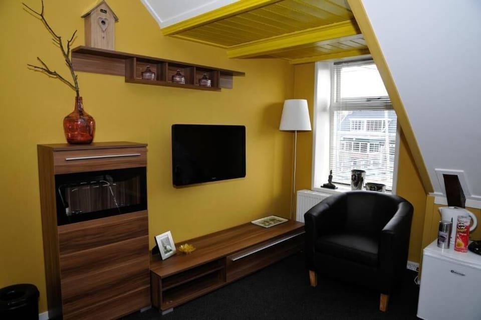 Flat-screen TV