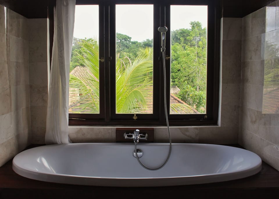 Combined shower/tub, hair dryer, bathrobes, slippers