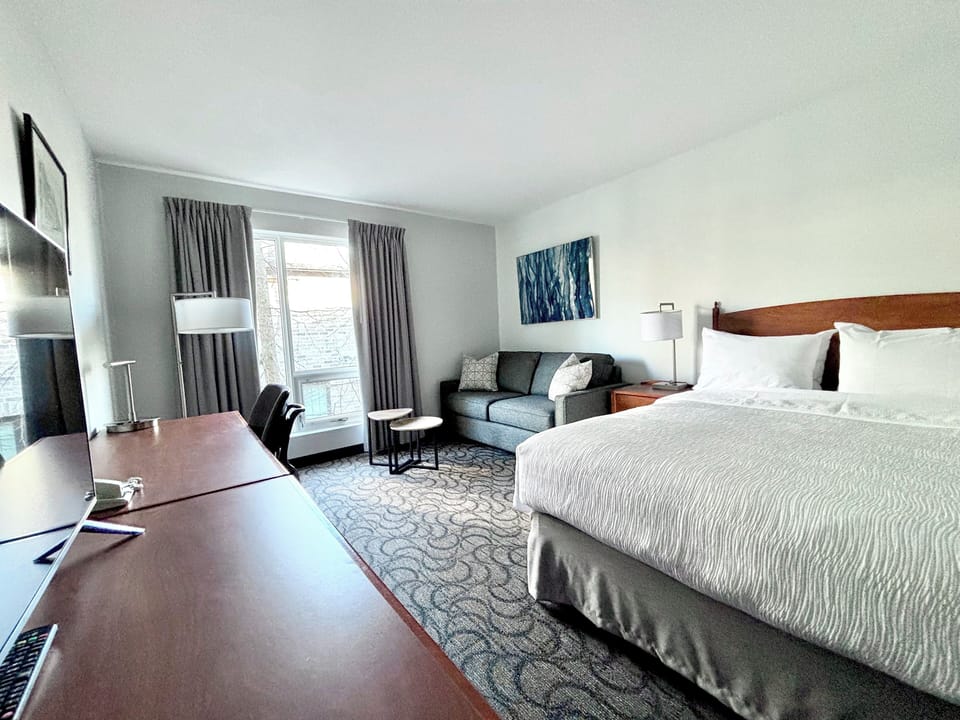 Queen Bed Sofa | Desk, blackout drapes, iron/ironing board, free WiFi