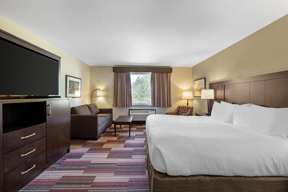 Standard Room, 1 King Bed, Non Smoking, Refrigerator & Microwave (with Sofabed) | Premium bedding, down comforters, pillowtop beds, in-room safe