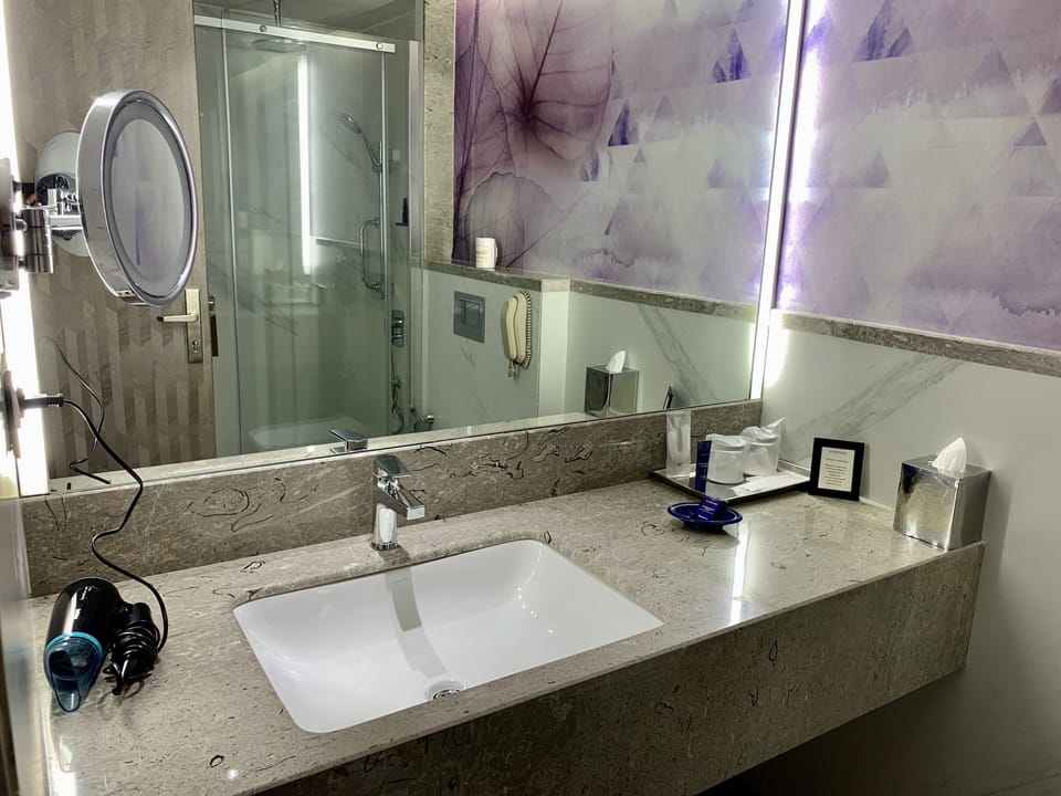 Deluxe Room City View Queen Bed | Bathroom | Rainfall showerhead, free toiletries, hair dryer, bathrobes