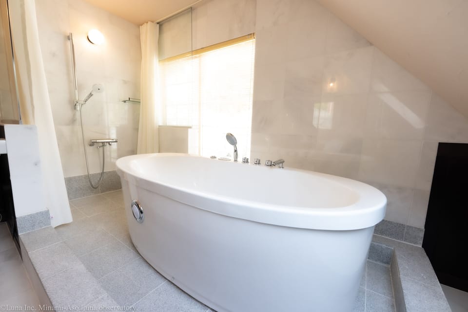 Main Building Twin Room, Non Smoking | Bathroom | Free toiletries, hair dryer (on request), slippers, electronic bidet
