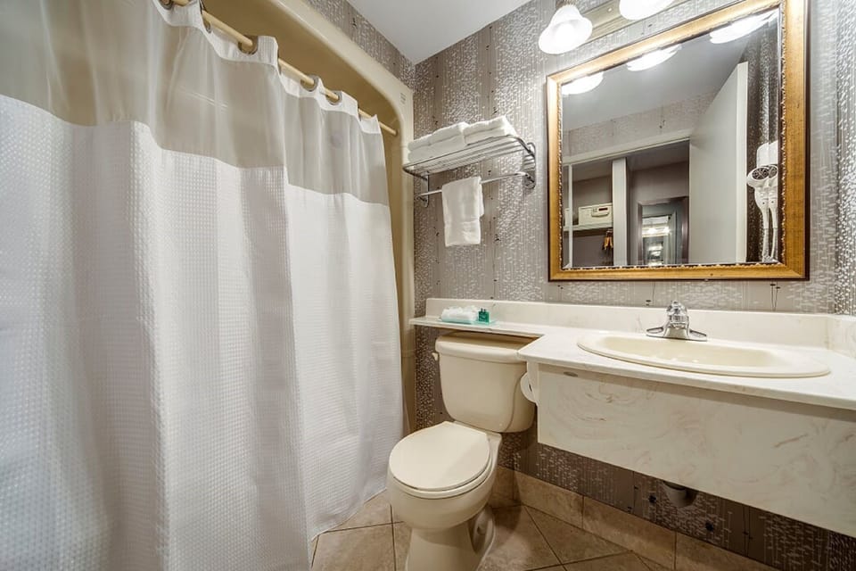 Combined shower/tub, free toiletries, hair dryer, towels