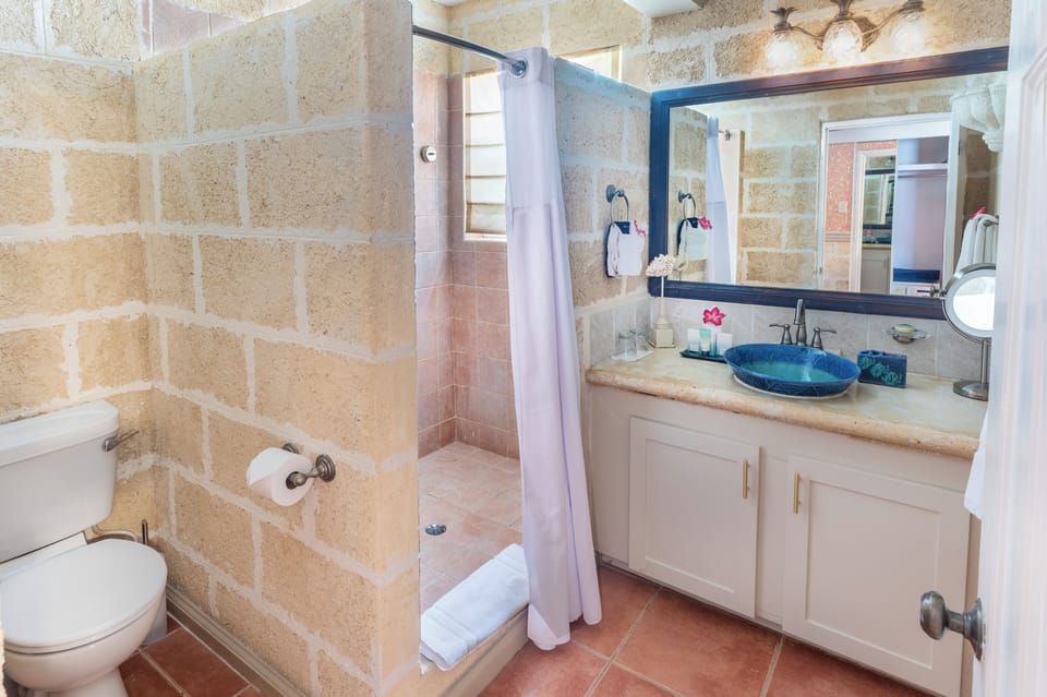 Junior Suite, Jetted Tub, Garden Area | Premium bedding, down comforters, pillowtop beds, in-room safe