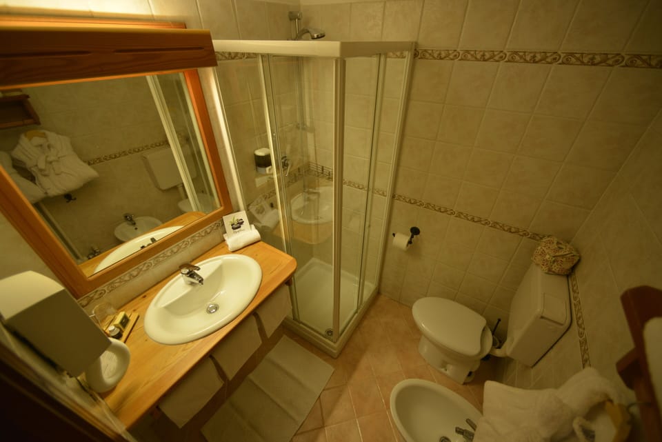 Shower, eco-friendly toiletries, hair dryer, bidet