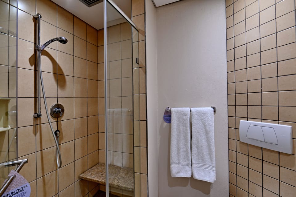 Shower, free toiletries, hair dryer, towels