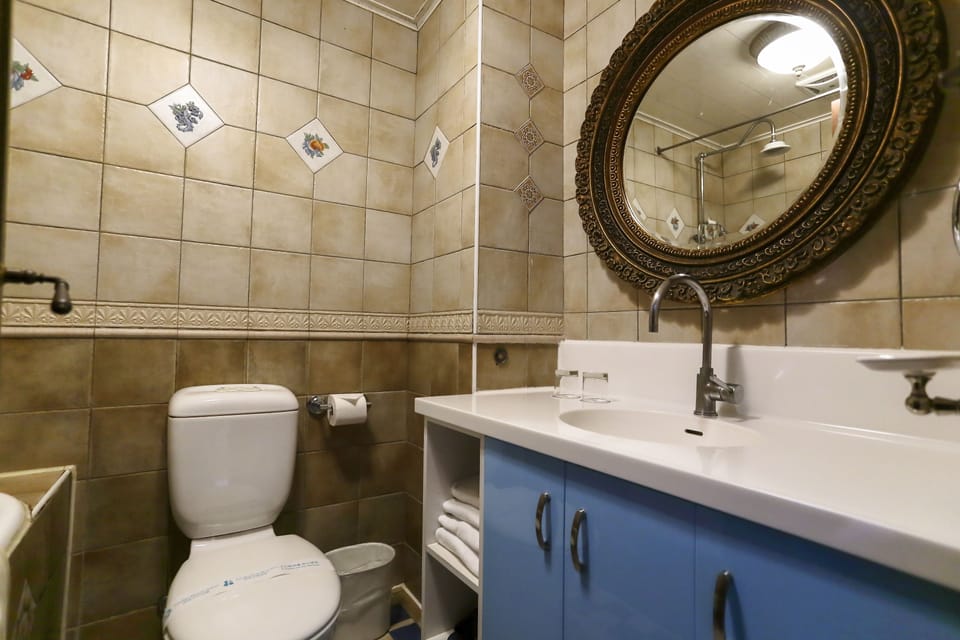 Combined shower/tub, free toiletries, hair dryer, slippers