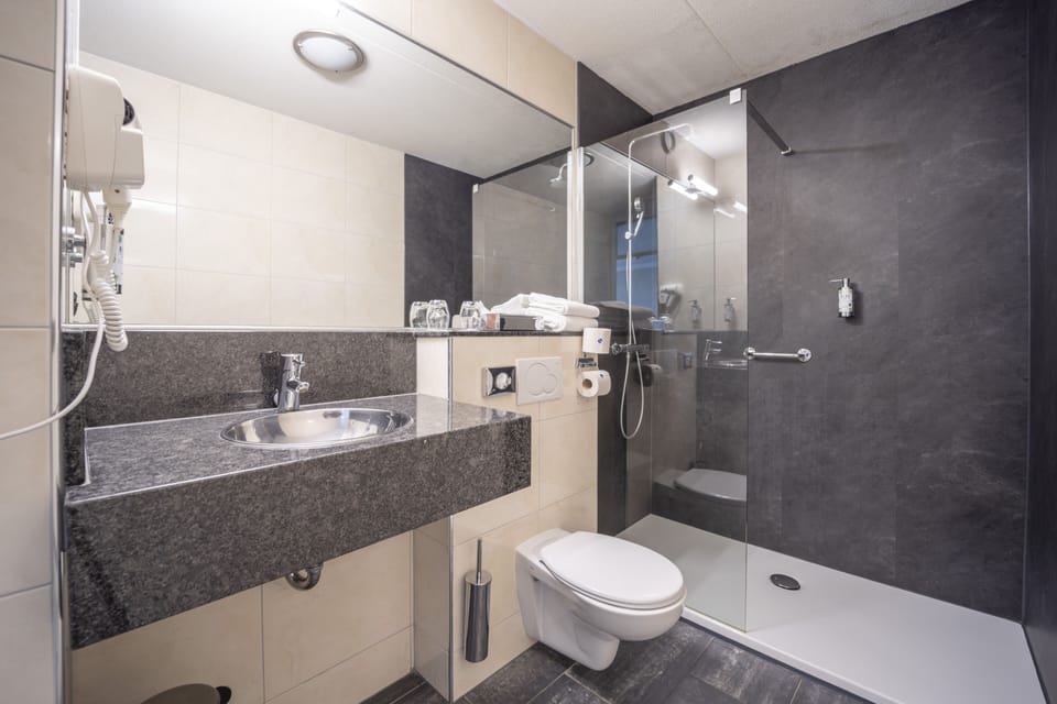 Eco-friendly toiletries, hair dryer, towels
