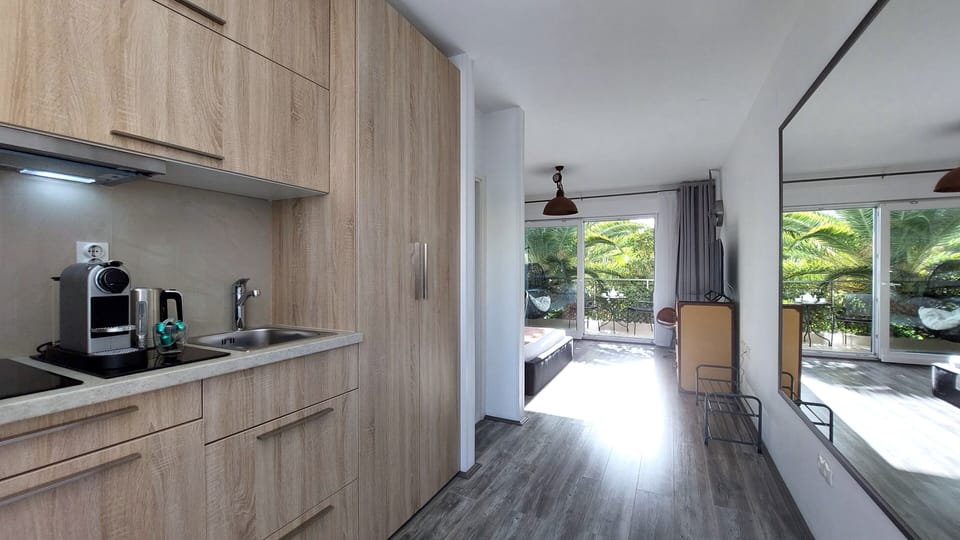 Deluxe Studio, Balcony, Park View | Private kitchenette | Full-size fridge, stovetop, electric kettle, cookware/dishes/utensils