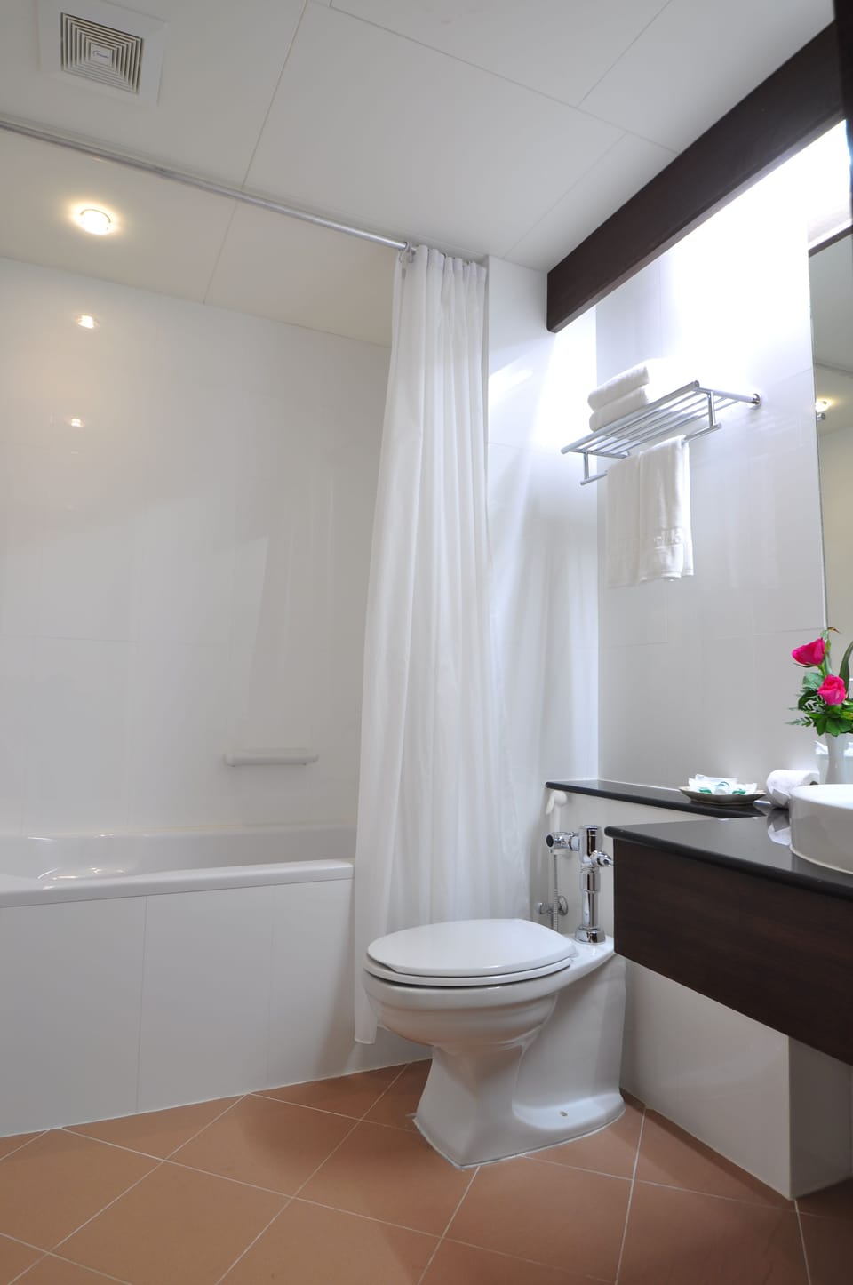 Shower, free toiletries, hair dryer (on request), towels