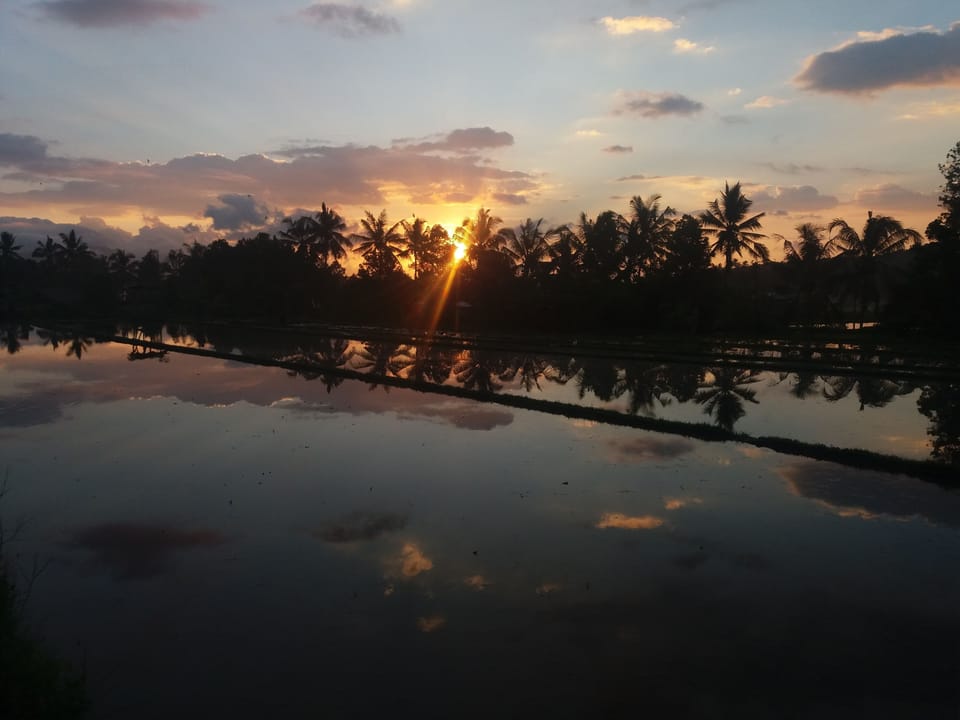 Land view from property