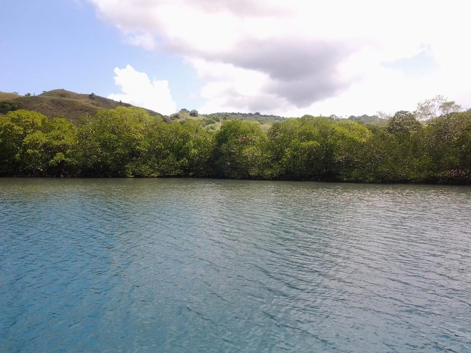 Lake