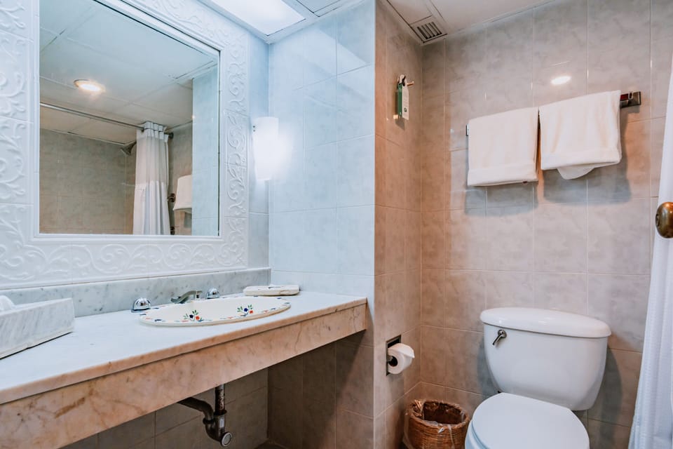 Deluxe Double Room | Bathroom | Designer toiletries, hair dryer (on request), towels, soap
