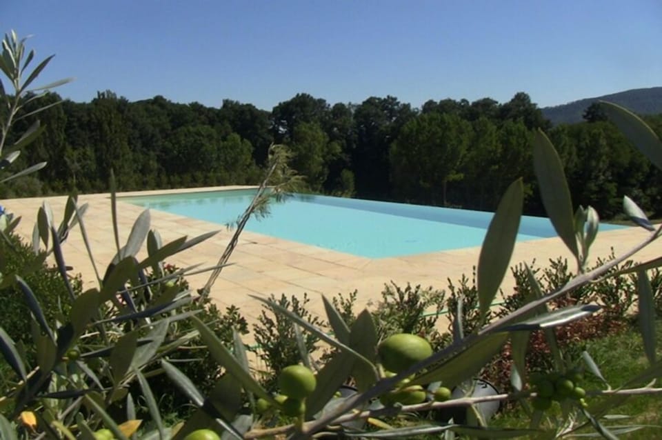Seasonal outdoor pool, pool umbrellas, sun loungers