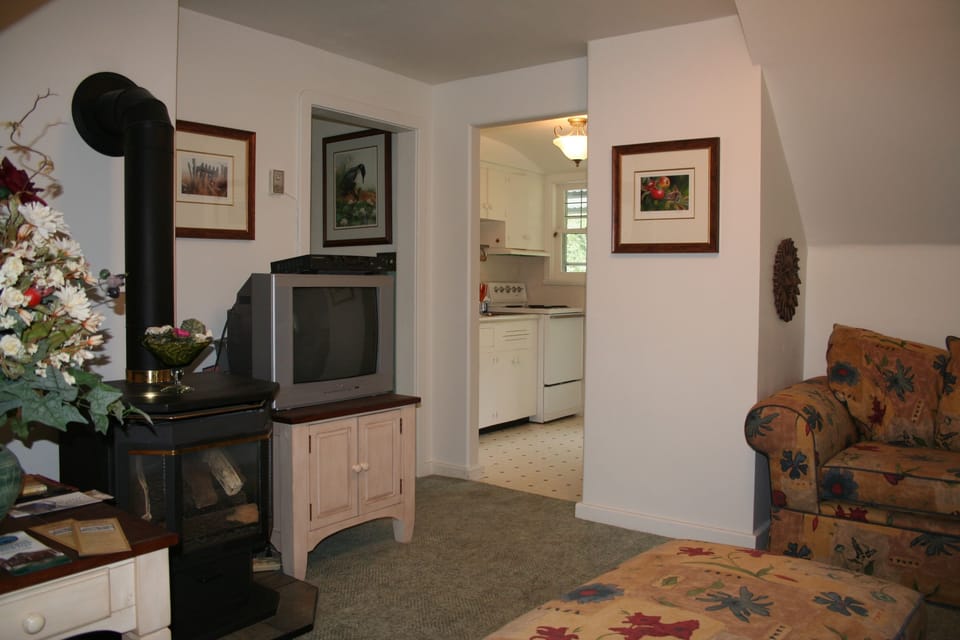 Flat-screen TV, fireplace, DVD player