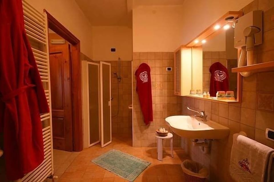 Shower, hair dryer