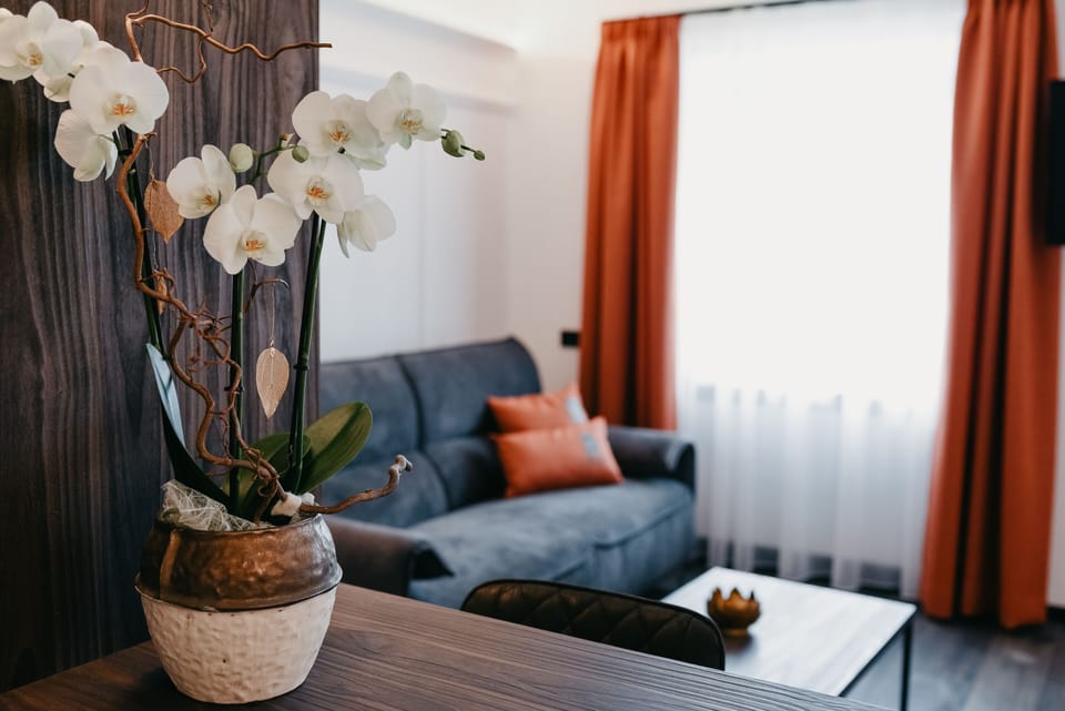 Nepomuk Suite | In-room safe, desk, laptop workspace, blackout drapes