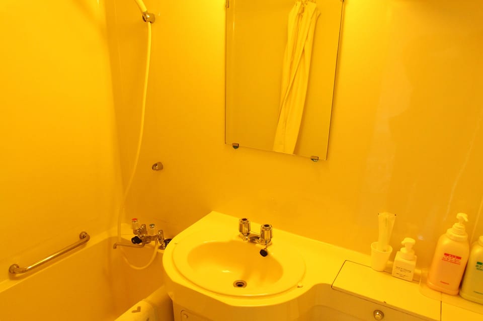Combined shower/tub, free toiletries, hair dryer, slippers