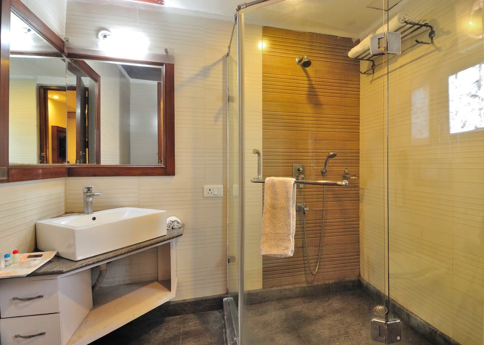 Shower, free toiletries, hair dryer, towels