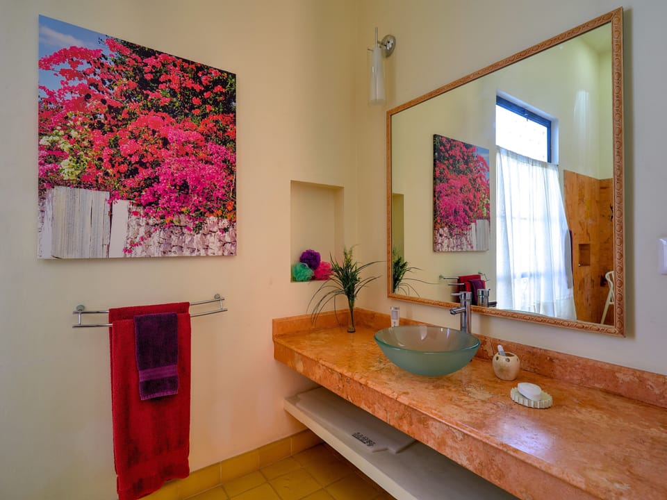 Classic Room | Bathroom | Hair dryer, soap, shampoo, toilet paper