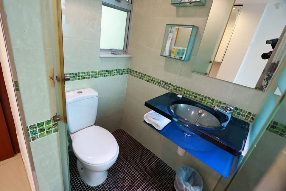 Shower, hair dryer, towels, toilet paper