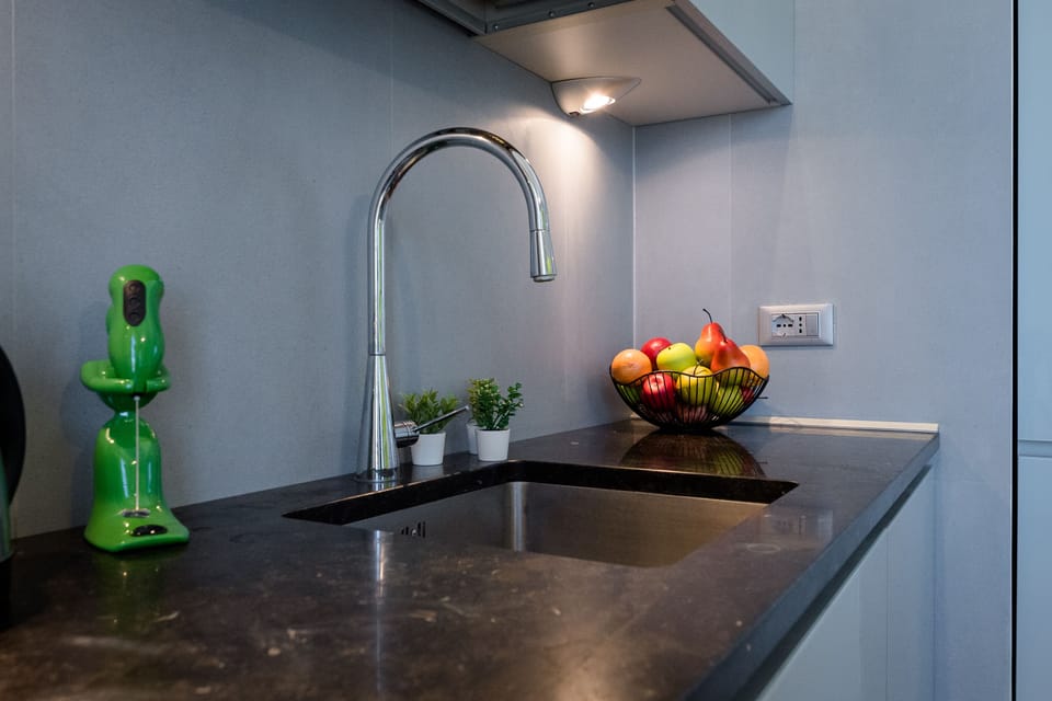 Deluxe Apartment | Private kitchen | Full-size fridge, oven, stovetop, dishwasher