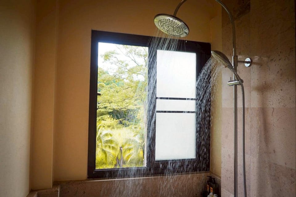 Shower, free toiletries, hair dryer, bathrobes