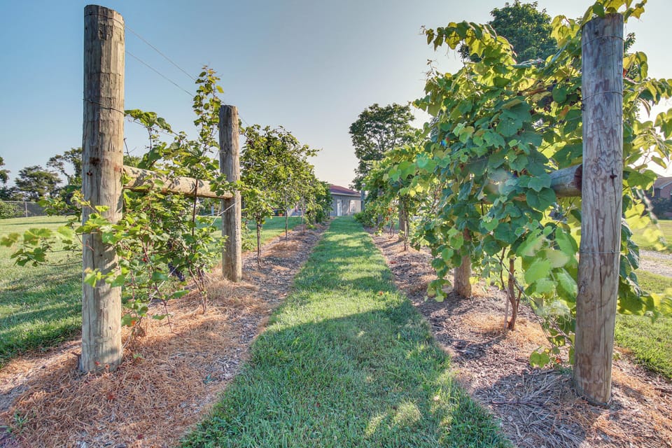 House (1 Bedroom) | Interior