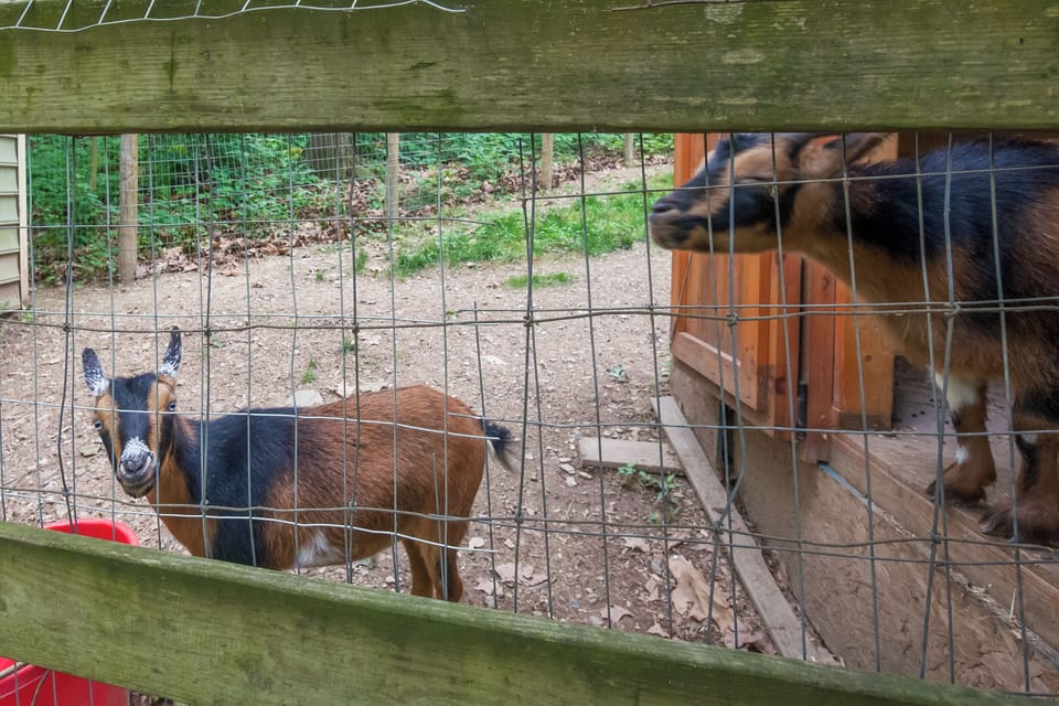 Cottage (2 Bedrooms) | Interior