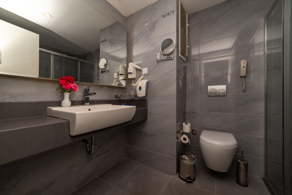Shower, free toiletries, hair dryer, slippers