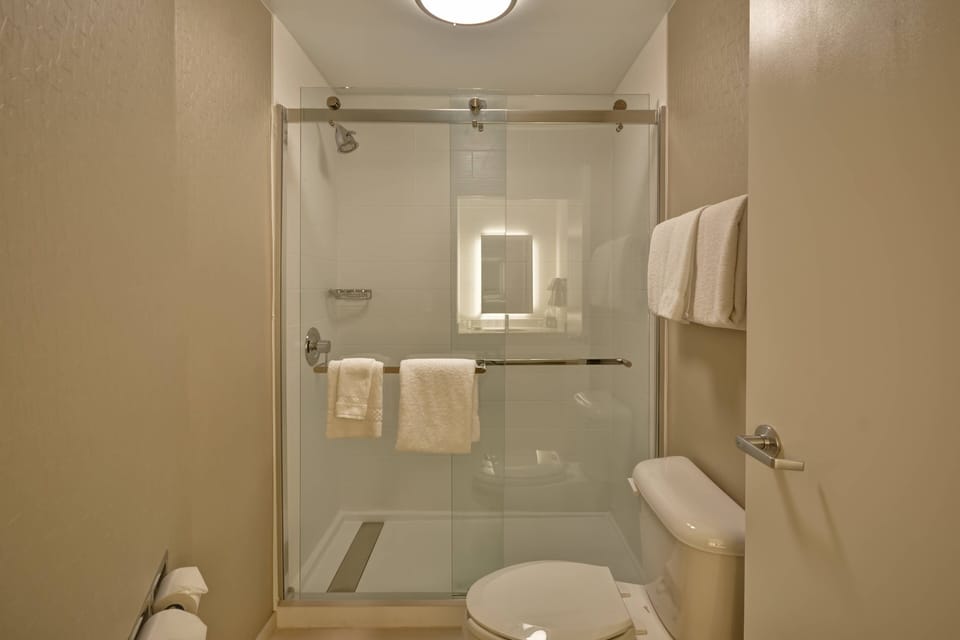 Free toiletries, hair dryer, towels