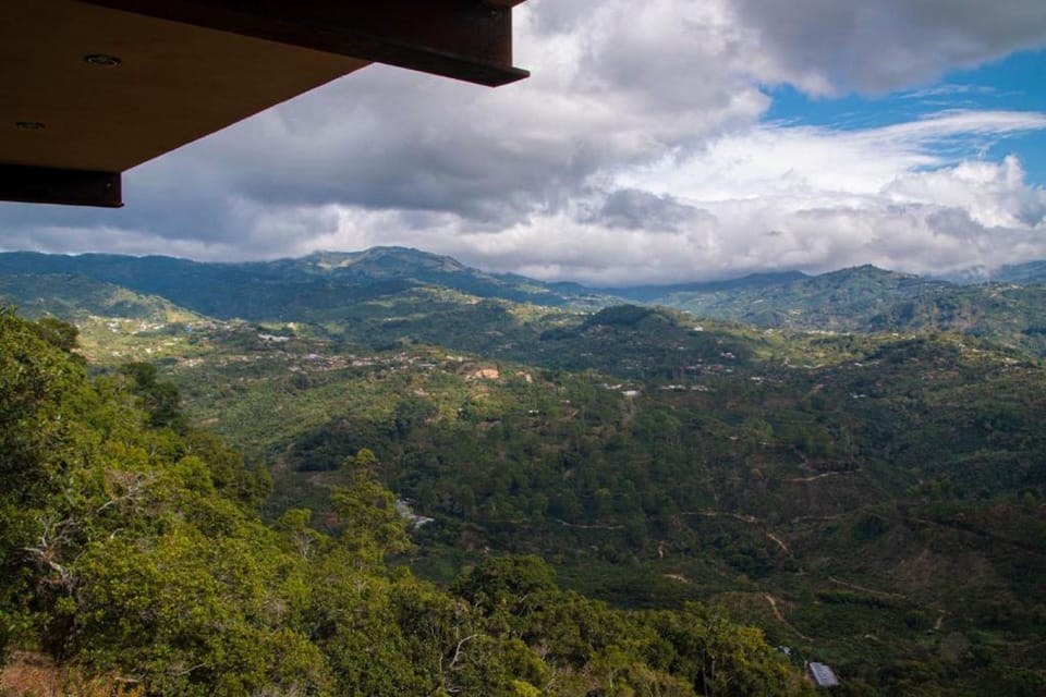 Land view from property