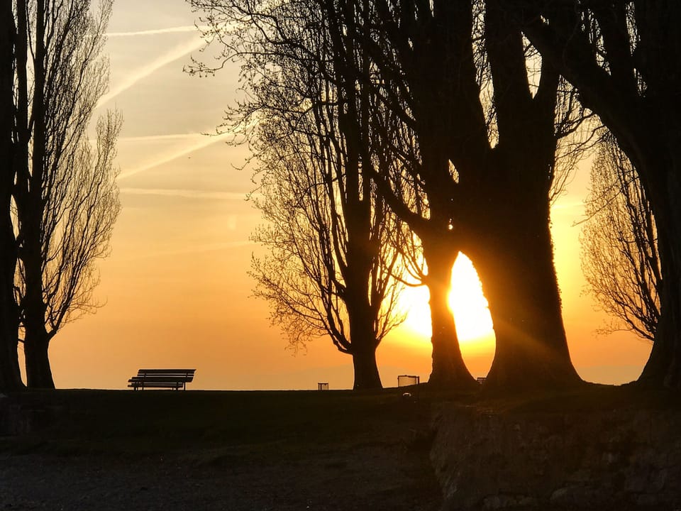 Private beach nearby, motor boating, rowing, fishing