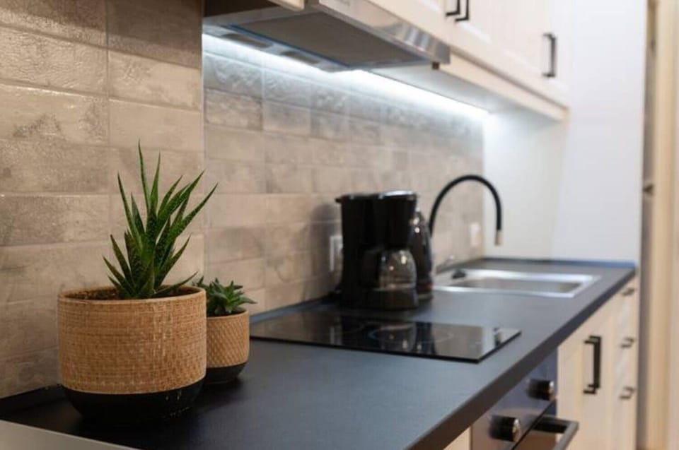 Design Apartment | Private kitchen | Full-size fridge, oven, electric kettle, toaster