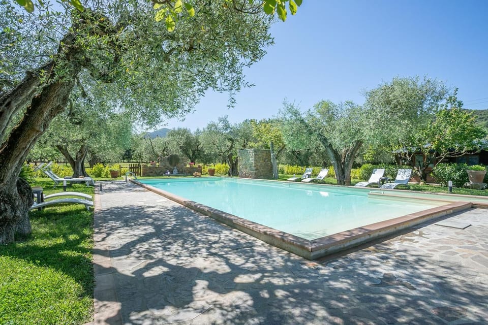 Seasonal outdoor pool, open 9:00 AM to 8:00 PM, sun loungers