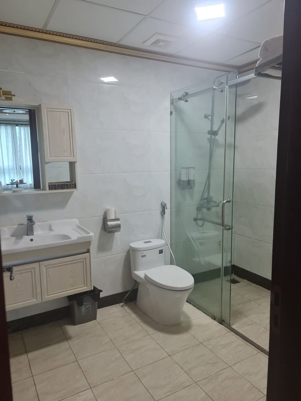 Hydromassage showerhead, hair dryer, slippers, bidet