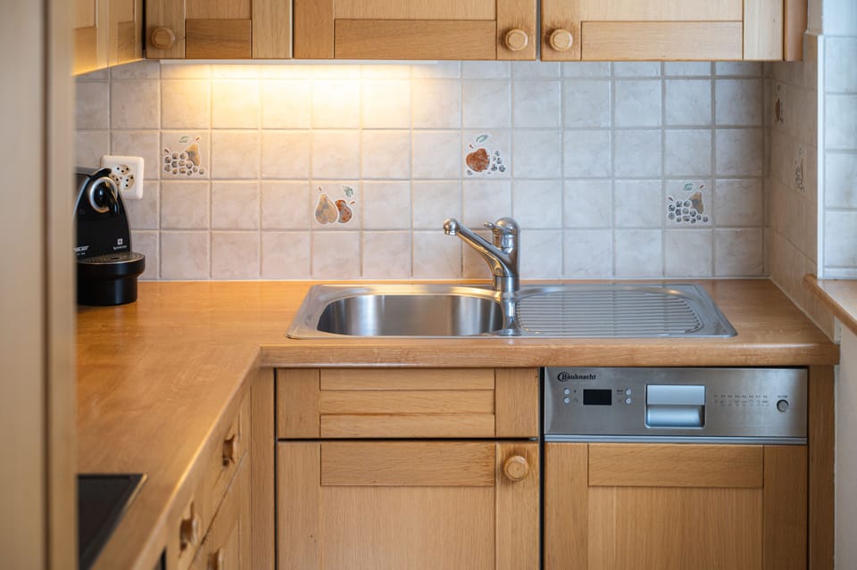 Panoramic apartment plus 150 CHF cleaning fee on top of the rate | Private kitchen | Fridge, oven, stovetop, dishwasher