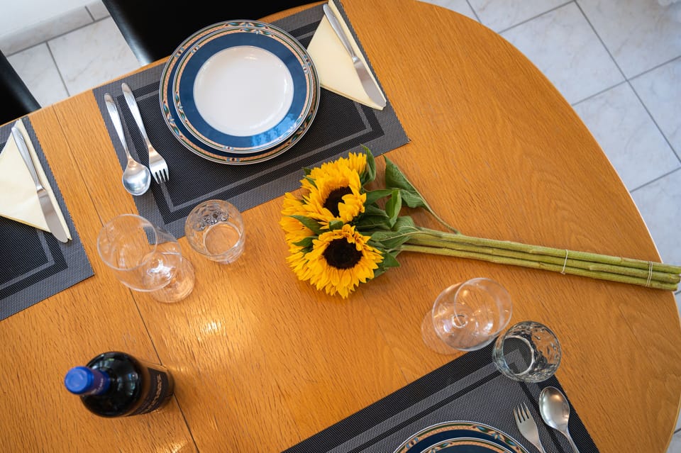 Panoramic apartment plus 150 CHF cleaning fee on top of the rate | In-room dining