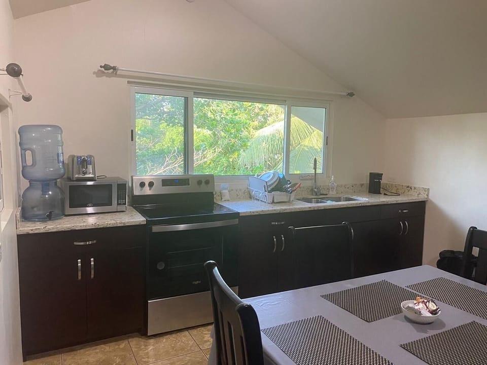 Classic Penthouse | Private kitchen | Mini-fridge, microwave, coffee/tea maker, cookware/dishes/utensils