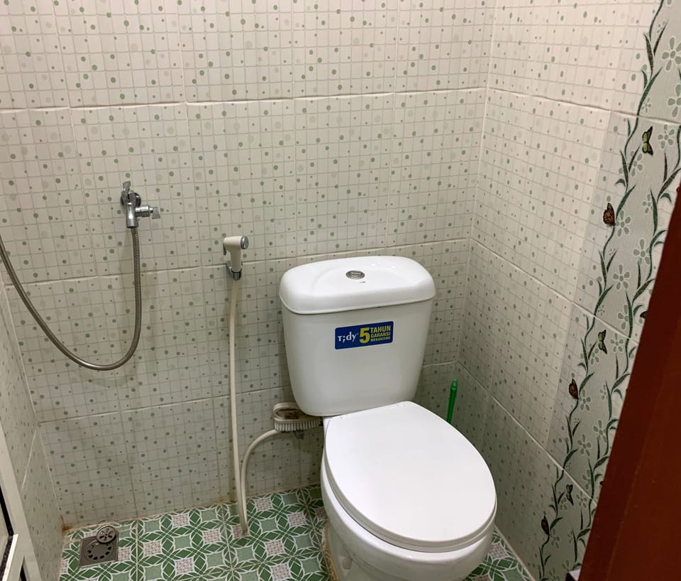 Shower, towels, toilet paper